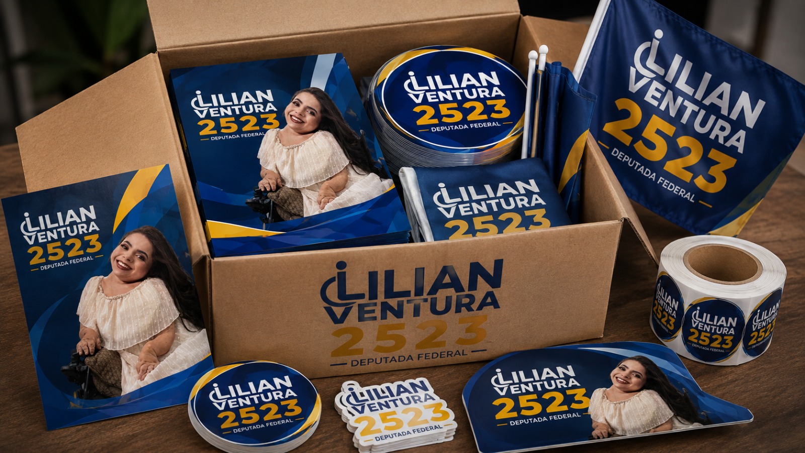 Kit de Materiais Lilian Ventura